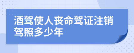 酒驾使人丧命驾证注销驾照多少年