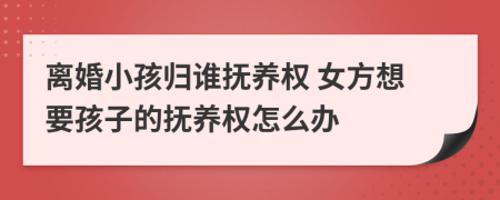 离婚小孩归谁抚养权 女方想要孩子的抚养权怎么办