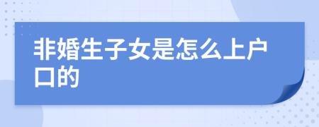 非婚生子女是怎么上户口的