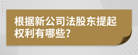 根据新公司法股东提起权利有哪些？