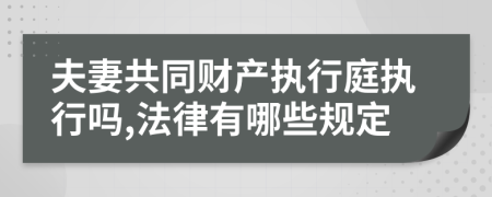 夫妻共同财产执行庭执行吗,法律有哪些规定