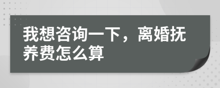 我想咨询一下，离婚抚养费怎么算