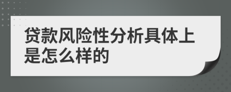 贷款风险性分析具体上是怎么样的