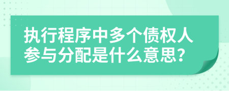 执行程序中多个债权人参与分配是什么意思？