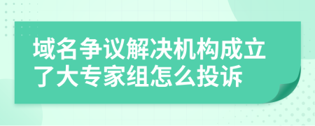 域名争议解决机构成立了大专家组怎么投诉