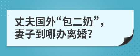 丈夫国外“包二奶”，妻子到哪办离婚?