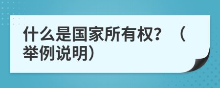 什么是国家所有权？（举例说明）