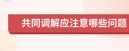 共同调解应注意哪些问题