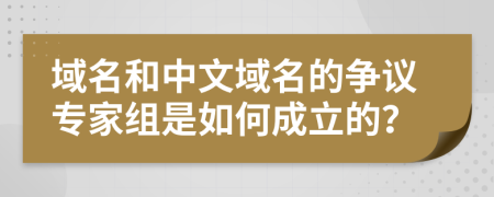 域名和中文域名的争议专家组是如何成立的？