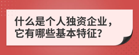 什么是个人独资企业，它有哪些基本特征？