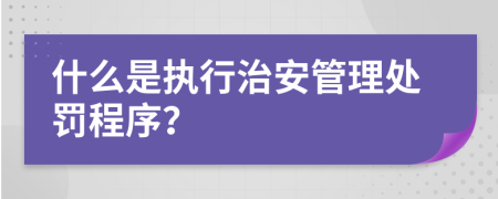 什么是执行治安管理处罚程序？