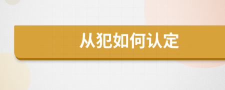 从犯如何认定