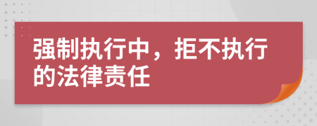 强制执行中，拒不执行的法律责任