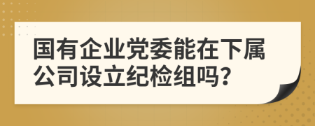 国有企业党委能在下属公司设立纪检组吗？