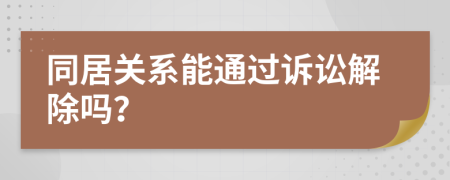 同居关系能通过诉讼解除吗？