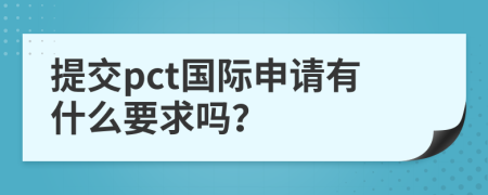 提交pct国际申请有什么要求吗？