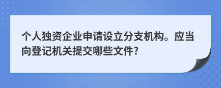 个人独资企业申请设立分支机构。应当向登记机关提交哪些文件?