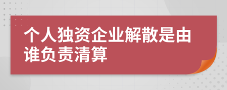 个人独资企业解散是由谁负责清算