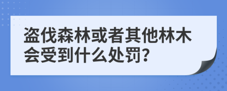 盗伐森林或者其他林木会受到什么处罚？