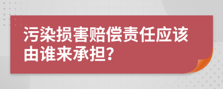 污染损害赔偿责任应该由谁来承担？