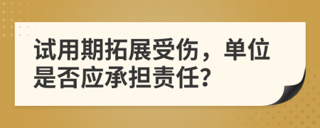 试用期拓展受伤，单位是否应承担责任？