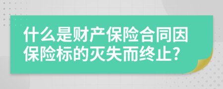 什么是财产保险合同因保险标的灭失而终止?