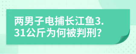 两男子电捕长江鱼3.31公斤为何被判刑？