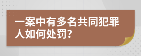 一案中有多名共同犯罪人如何处罚？