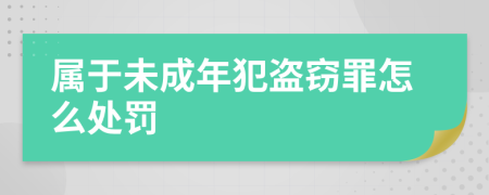 属于未成年犯盗窃罪怎么处罚