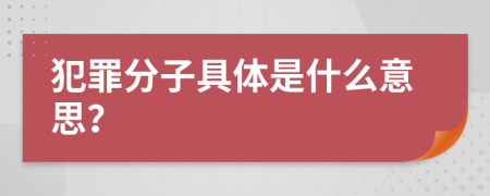 犯罪分子具体是什么意思？