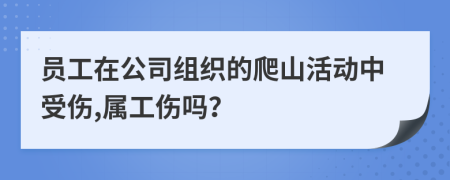 员工在公司组织的爬山活动中受伤,属工伤吗？