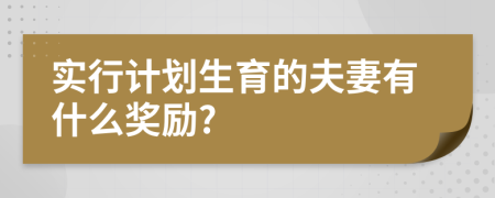 实行计划生育的夫妻有什么奖励?