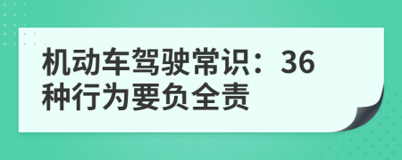 机动车驾驶常识：36种行为要负全责