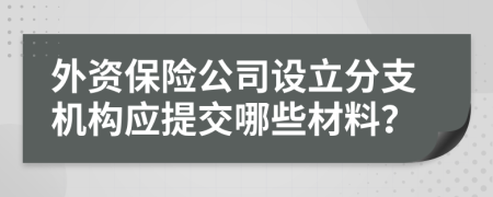 外资保险公司设立分支机构应提交哪些材料？