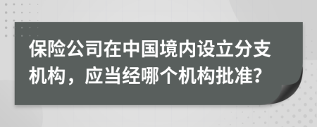 保险公司在中国境内设立分支机构，应当经哪个机构批准？