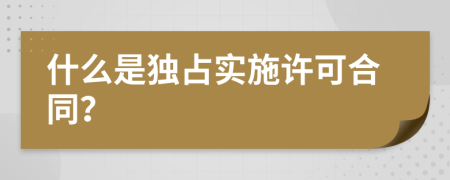 什么是独占实施许可合同？