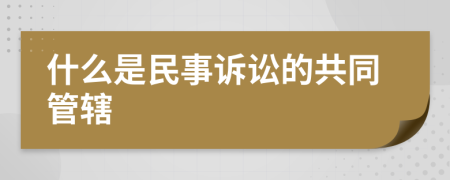 什么是民事诉讼的共同管辖