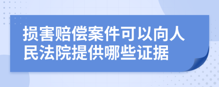 损害赔偿案件可以向人民法院提供哪些证据