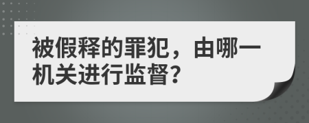 被假释的罪犯，由哪一机关进行监督？