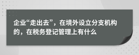 企业“走出去”，在境外设立分支机构的，在税务登记管理上有什么