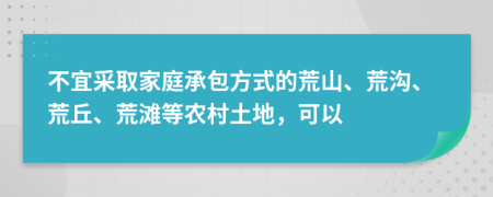 不宜采取家庭承包方式的荒山、荒沟、荒丘、荒滩等农村土地，可以