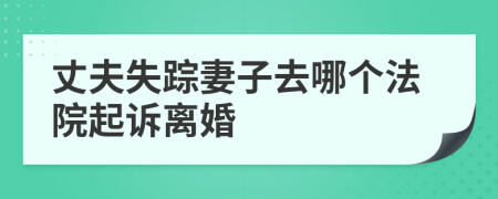 丈夫失踪妻子去哪个法院起诉离婚