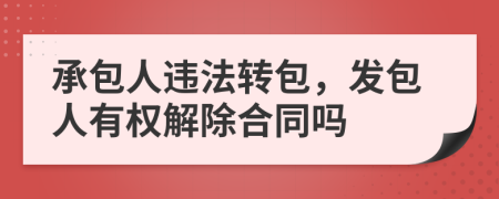 承包人违法转包，发包人有权解除合同吗