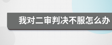 我对二审判决不服怎么办