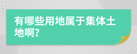 有哪些用地属于集体土地啊？