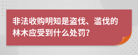 非法收购明知是盗伐、滥伐的林木应受到什么处罚？