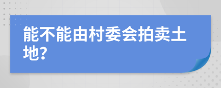 能不能由村委会拍卖土地？