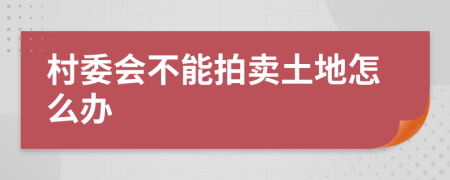 村委会不能拍卖土地怎么办