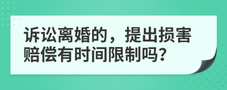 诉讼离婚的，提出损害赔偿有时间限制吗？