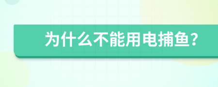 为什么不能用电捕鱼？